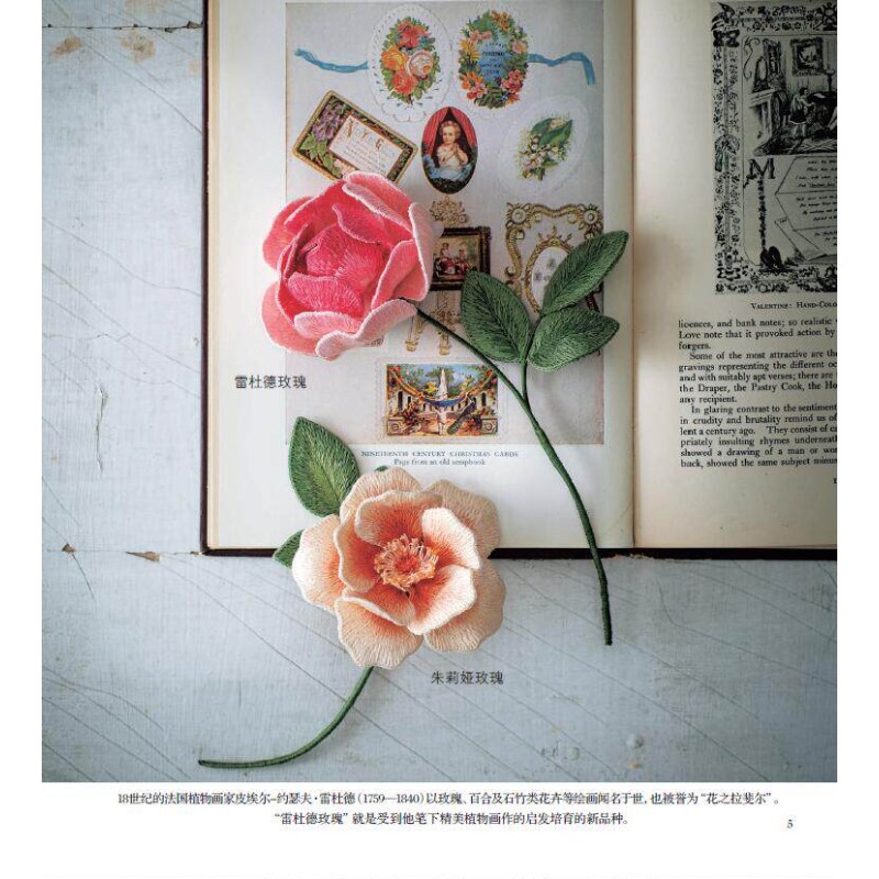 Libro sul ricamo 3D: guida pas - Embroidery Guide Book recensione e prezzo